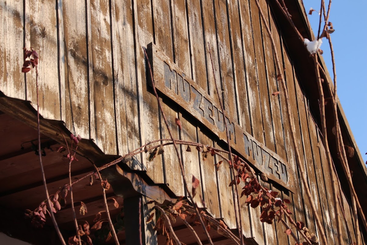 Muzeul Orăşenesc de Istorie şi Etnografie "Andrássy Ernö" - foto 2