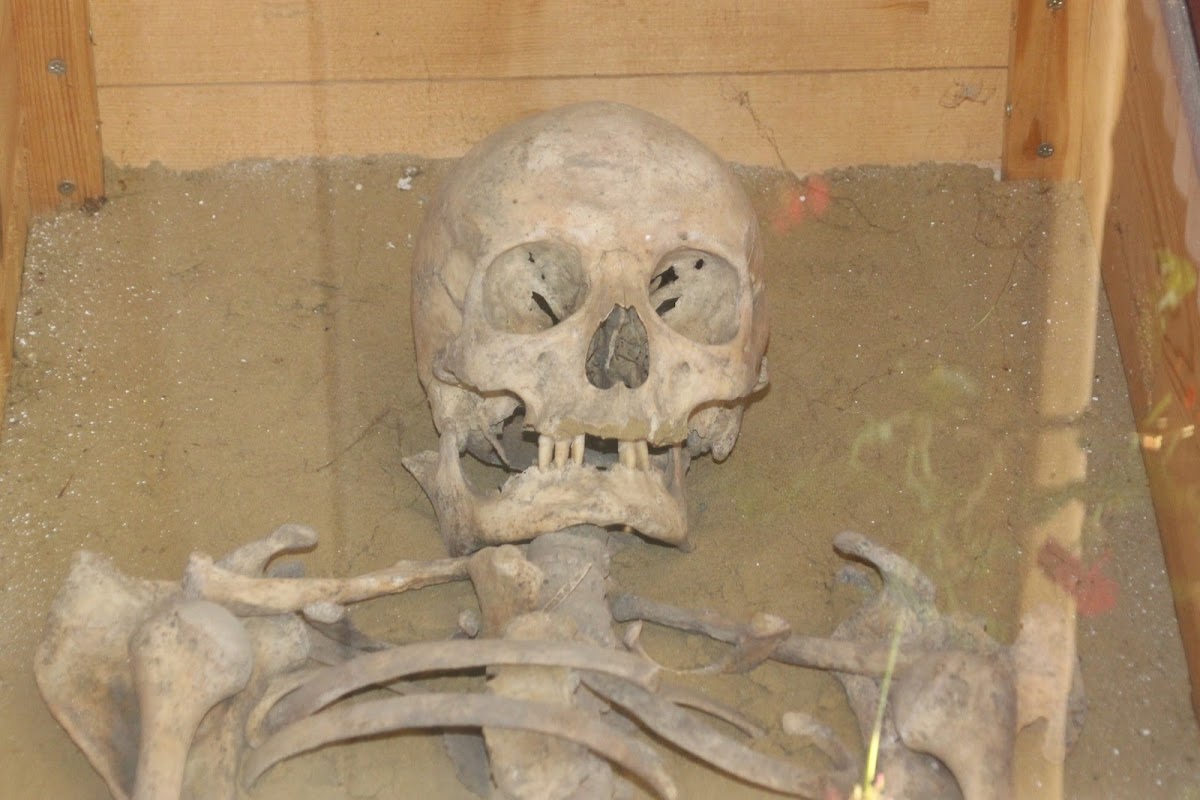 Muzeul Orăşenesc de Istorie şi Etnografie "Andrássy Ernö" - foto 3