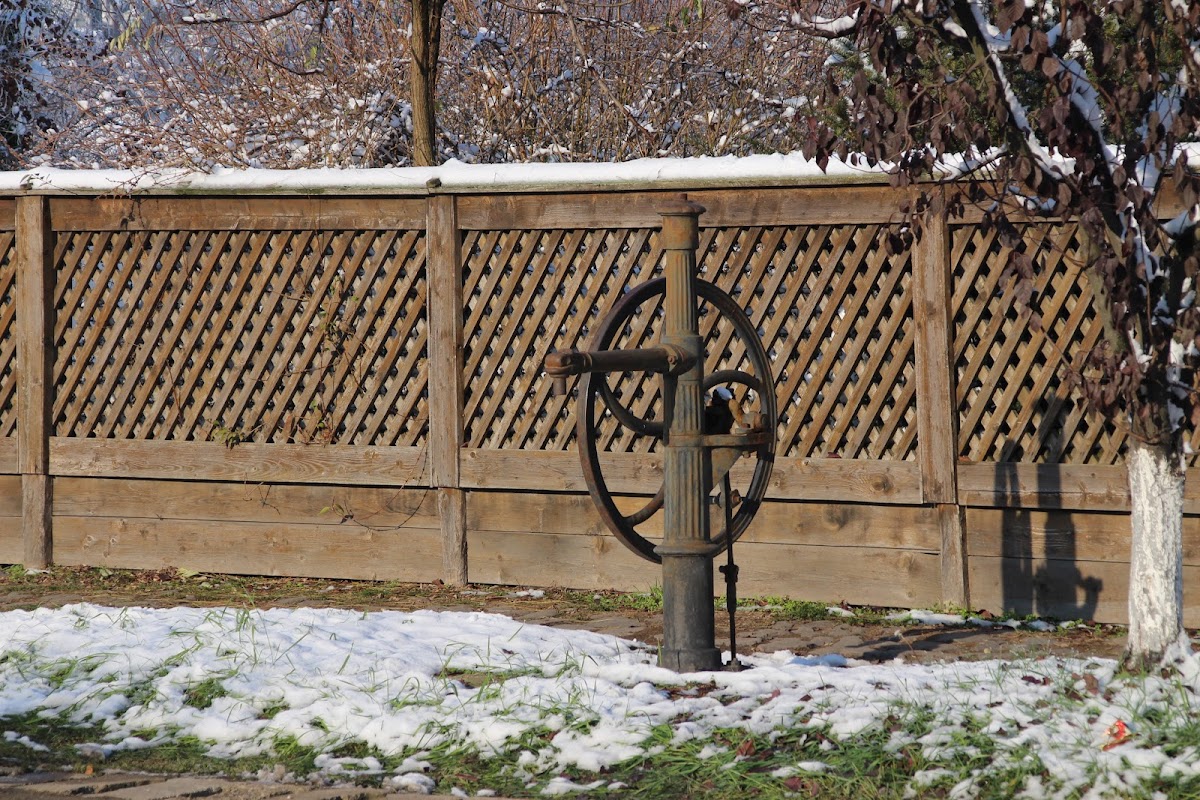 Muzeul Orăşenesc de Istorie şi Etnografie "Andrássy Ernö" - foto 4