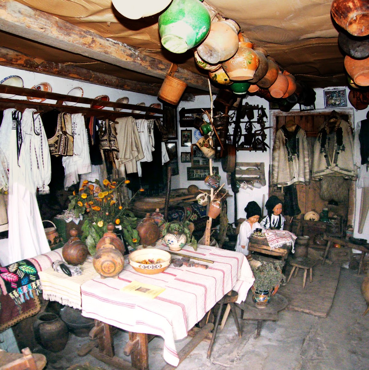 Muzeul Pastoral Jina - foto 4