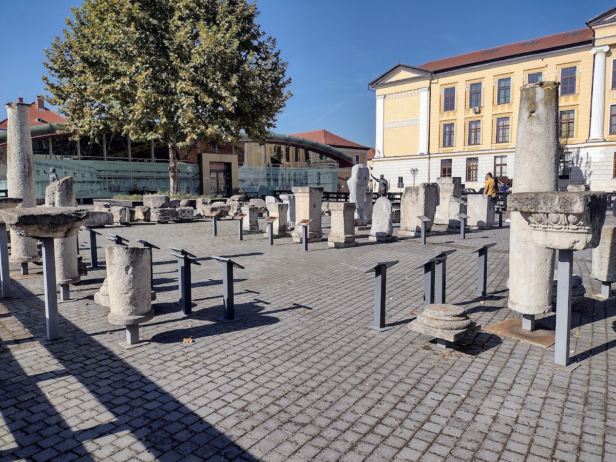 Muzeul "Principia" - foto 5