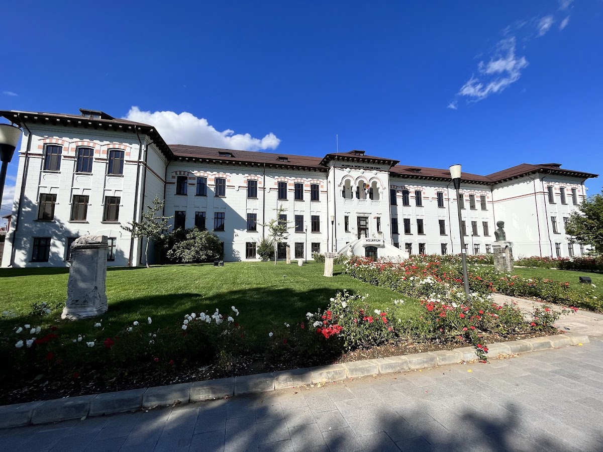 Iron Gates Region Museum - foto 1