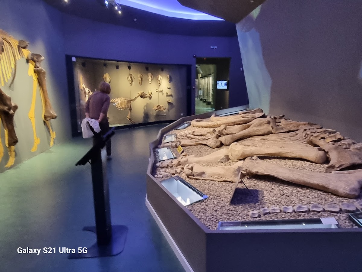 Museo de la Región de las Puertas de Hierro - Sucursal de Orșova - foto 3