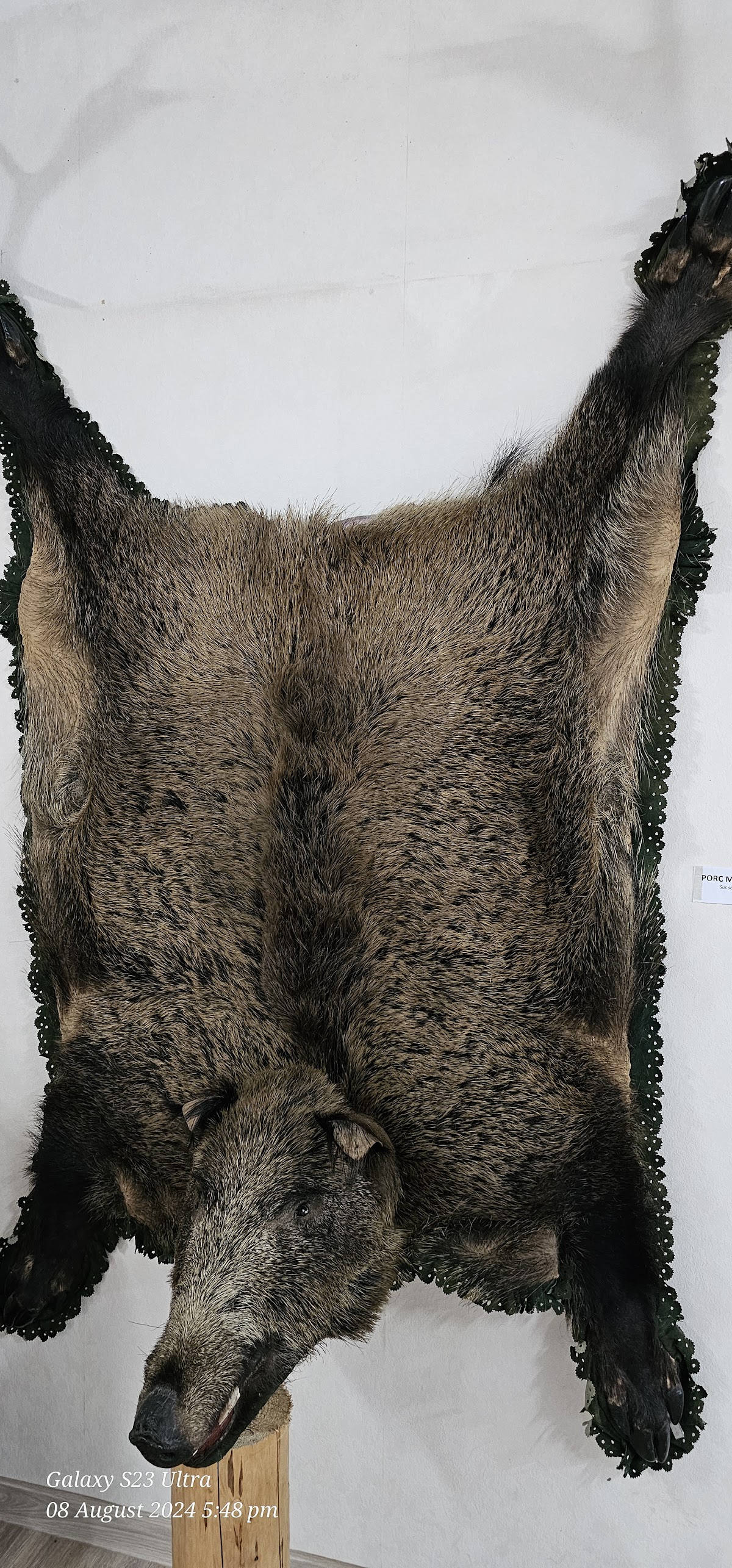 Bucegi Reservation Museum - foto 5