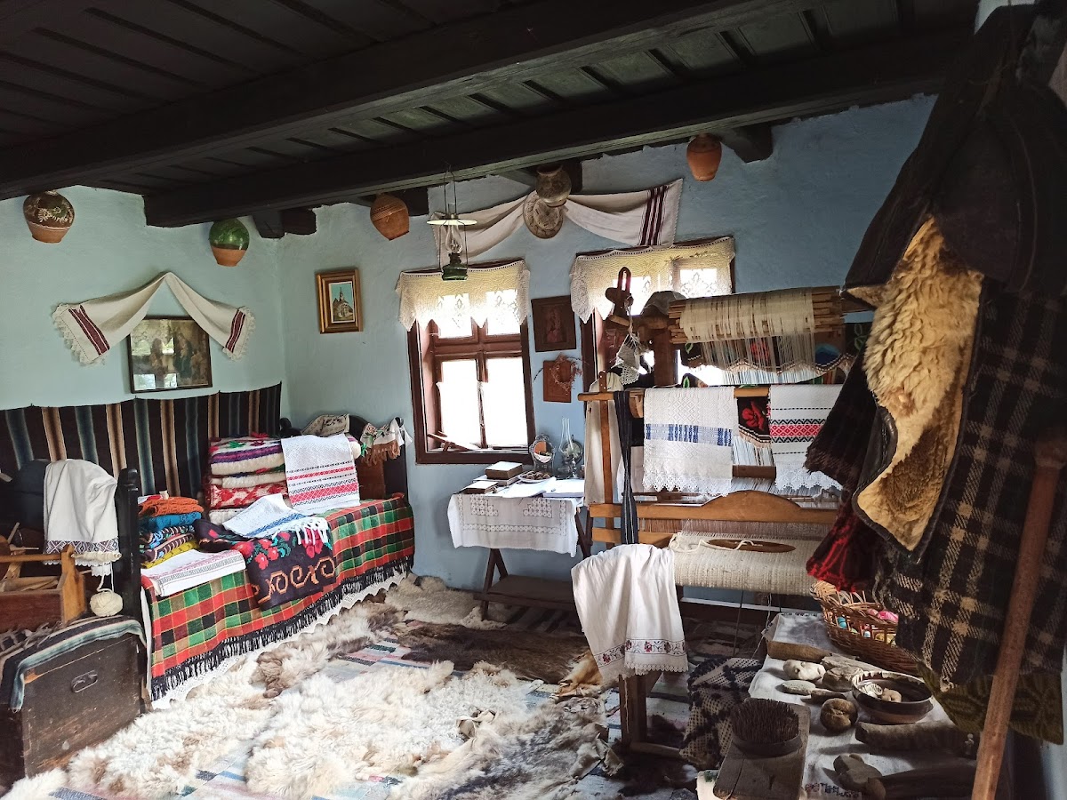 Hațegan Village Museum - foto 2