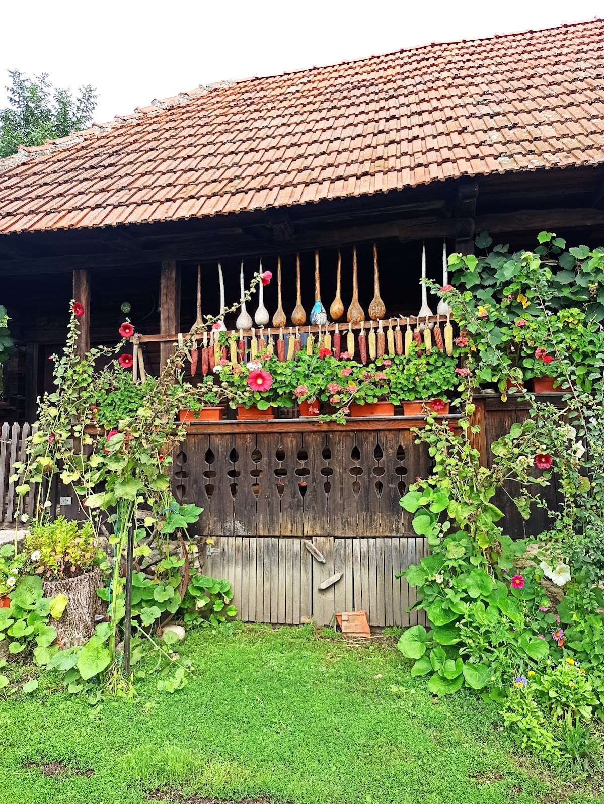 Hațegan Village Museum - foto 3