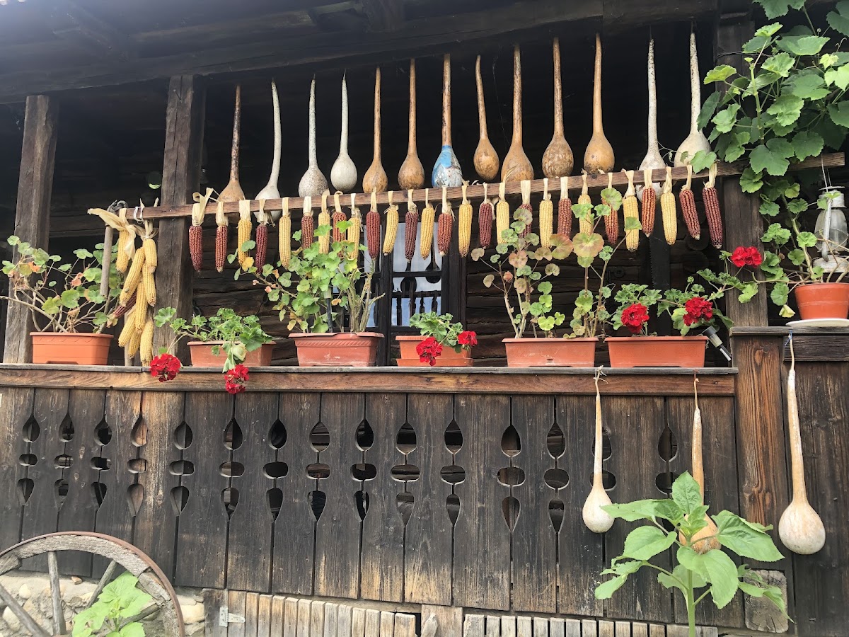 Hațegan Village Museum - foto 4