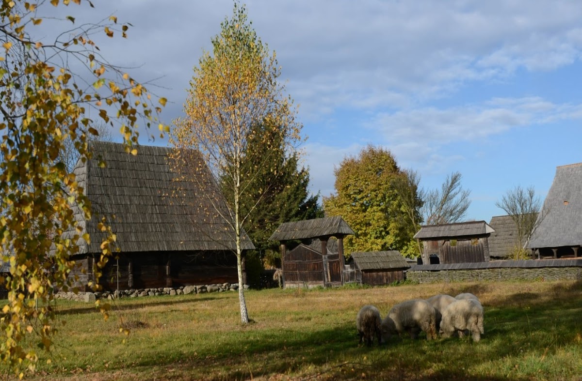 Muzeul Satului Maramureșean - foto 1