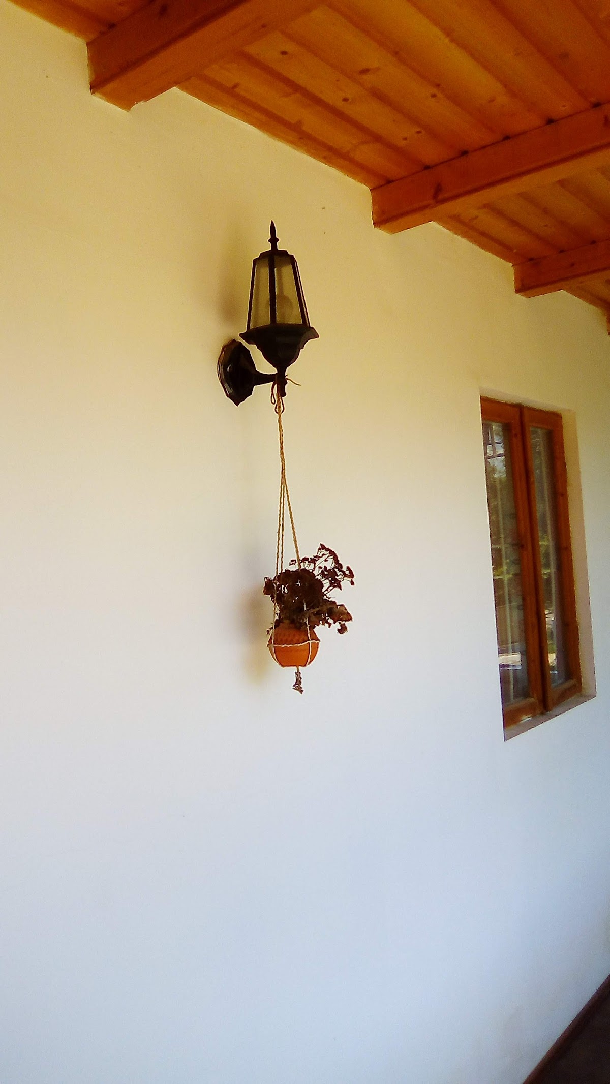 Mogoșești Village Museum - foto 4