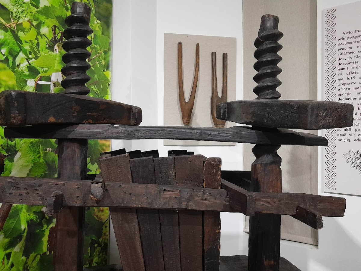 A „Ștefan cel Mare” Múzeum Vaslui-ban - foto 2