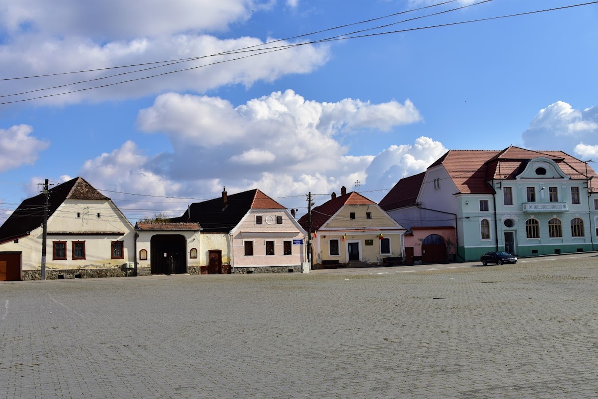 Muzeul Țării Secașelor - foto 3