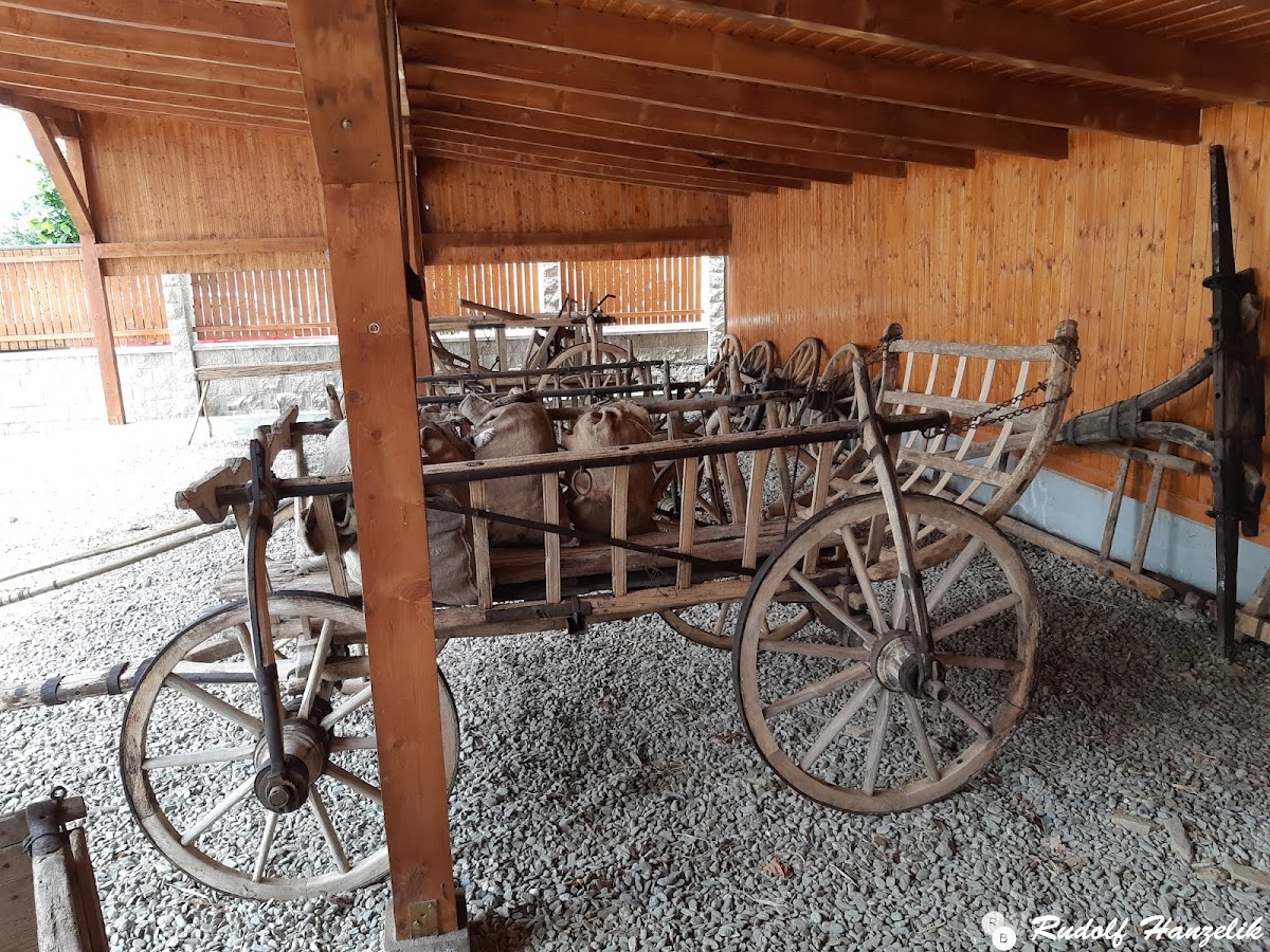 Muzeul Țării Secașelor - foto 5