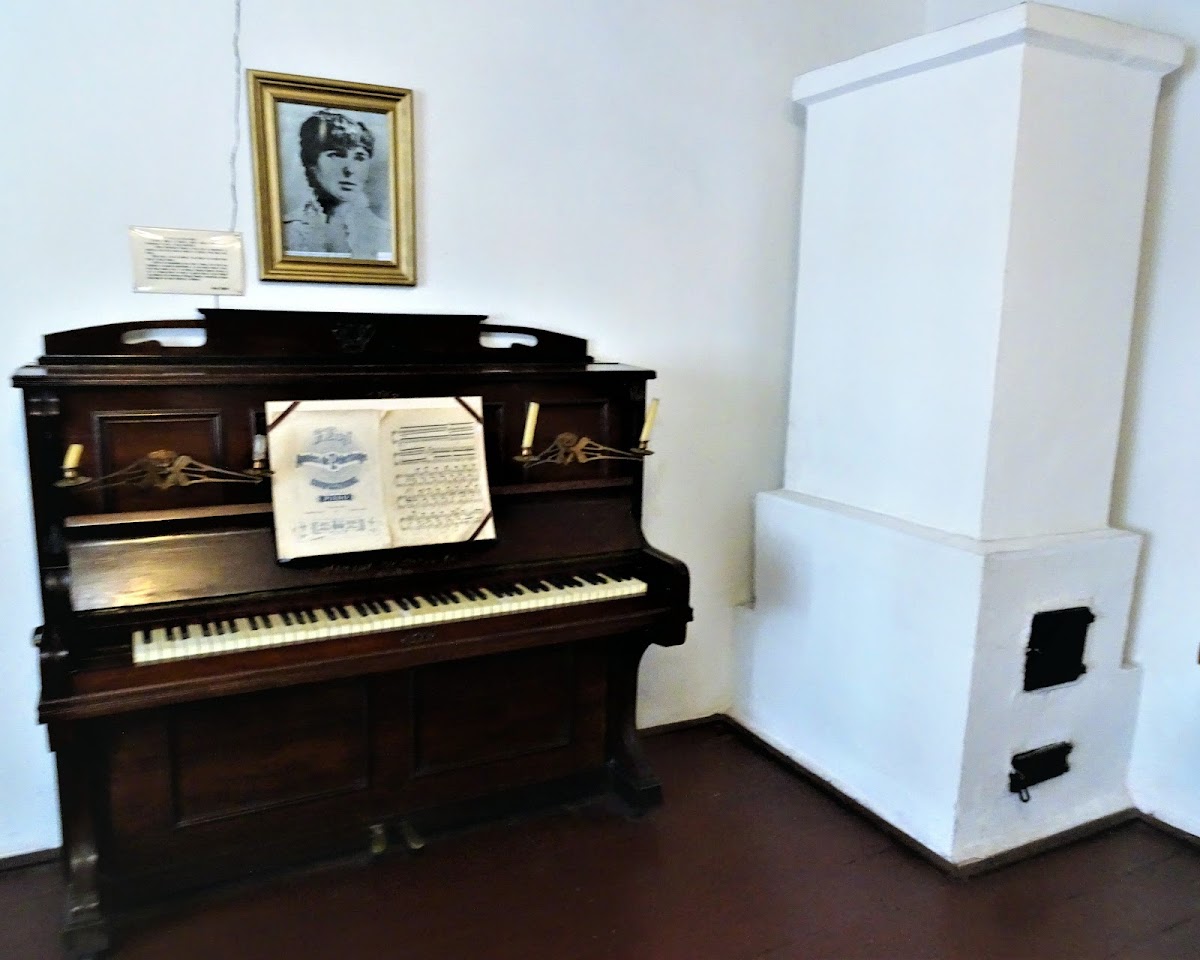 Muzeul Vasile Alecsandri - foto 5