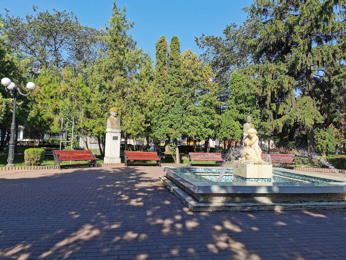"Vasile Pârvan" Múzeum Bârlad - foto 4