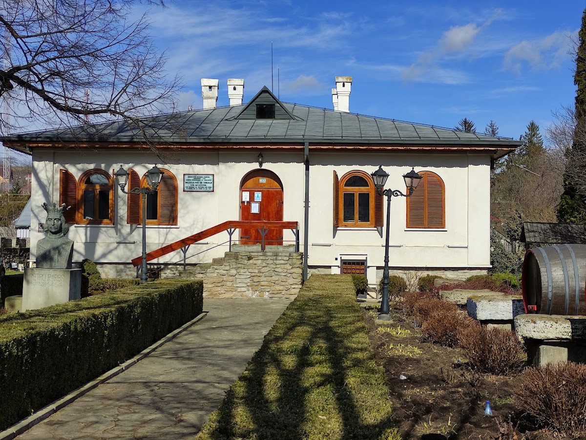 El Museo de la Vid y el Vino en Hârlău - foto 1