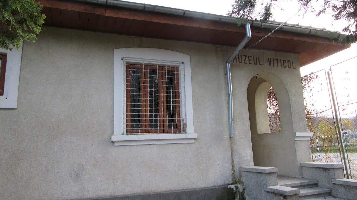 Muzeul Viticulturii Huşi - foto 2