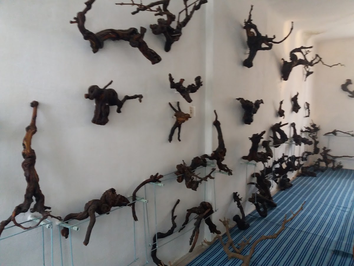 Muzeul Viticulturii Huşi - foto 3