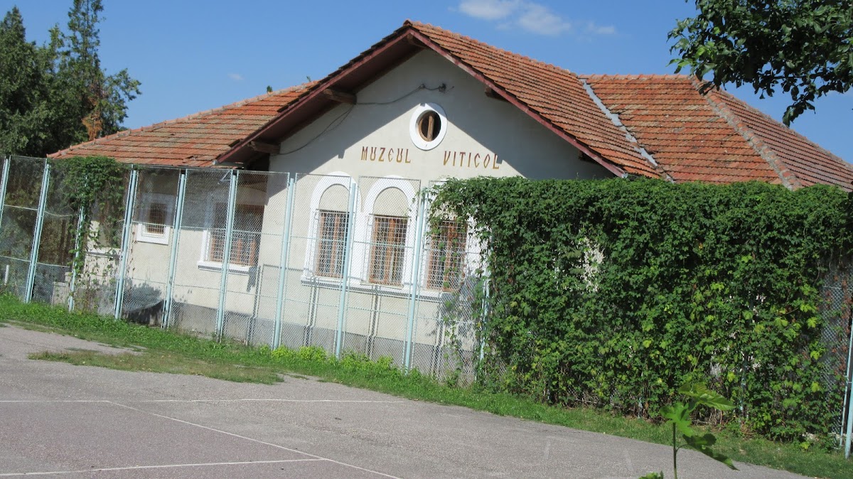 Muzeul Viticulturii Huşi - foto 5