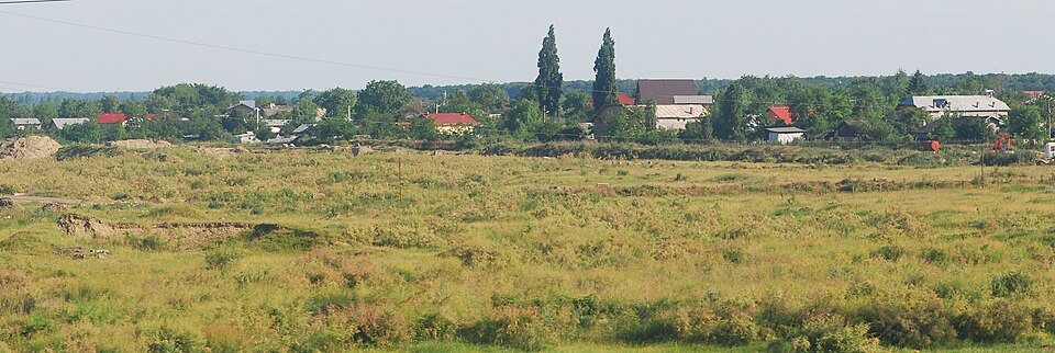 Natura din imprejurimile Berceni