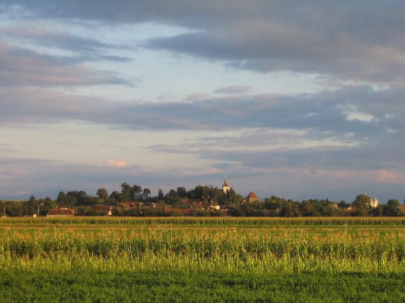 Natura din jurul Aita Mare, Aita Mare