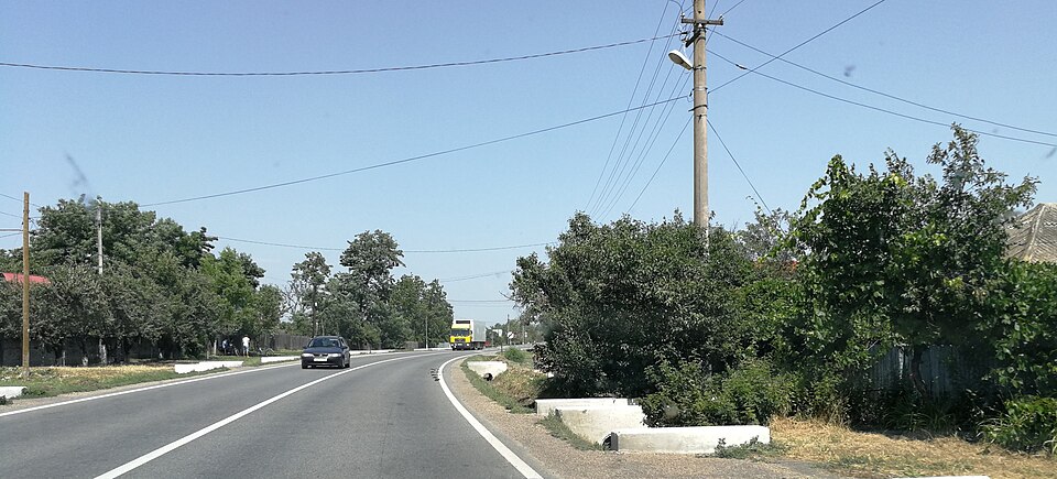 Natura din jurul Bădeana