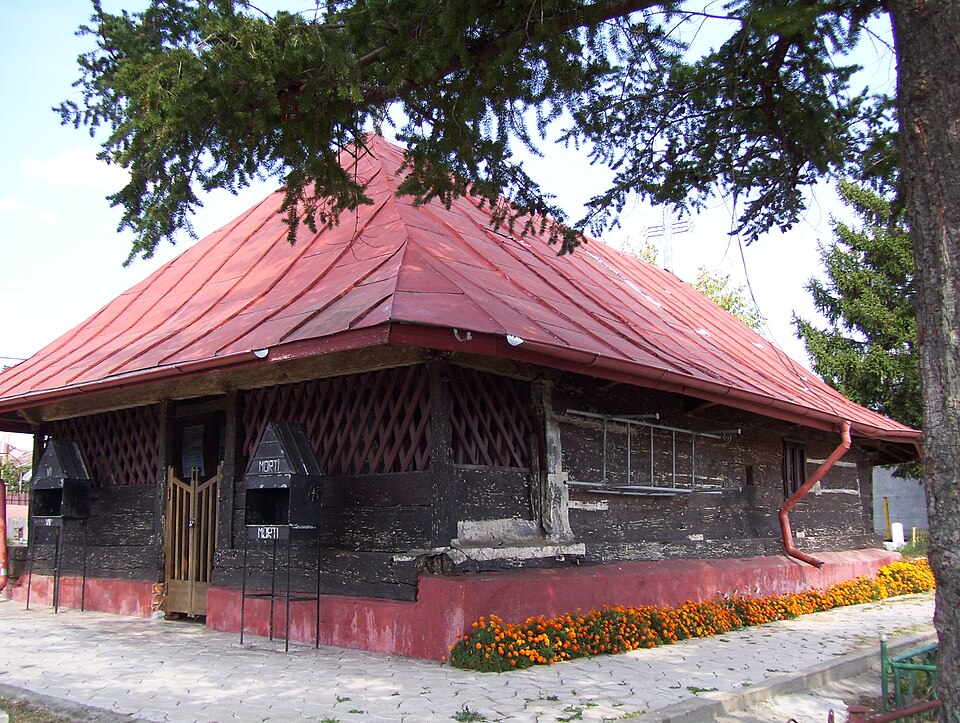 Natura din jurul Butimanu