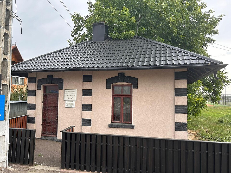 Natura din jurul Cornu Luncii