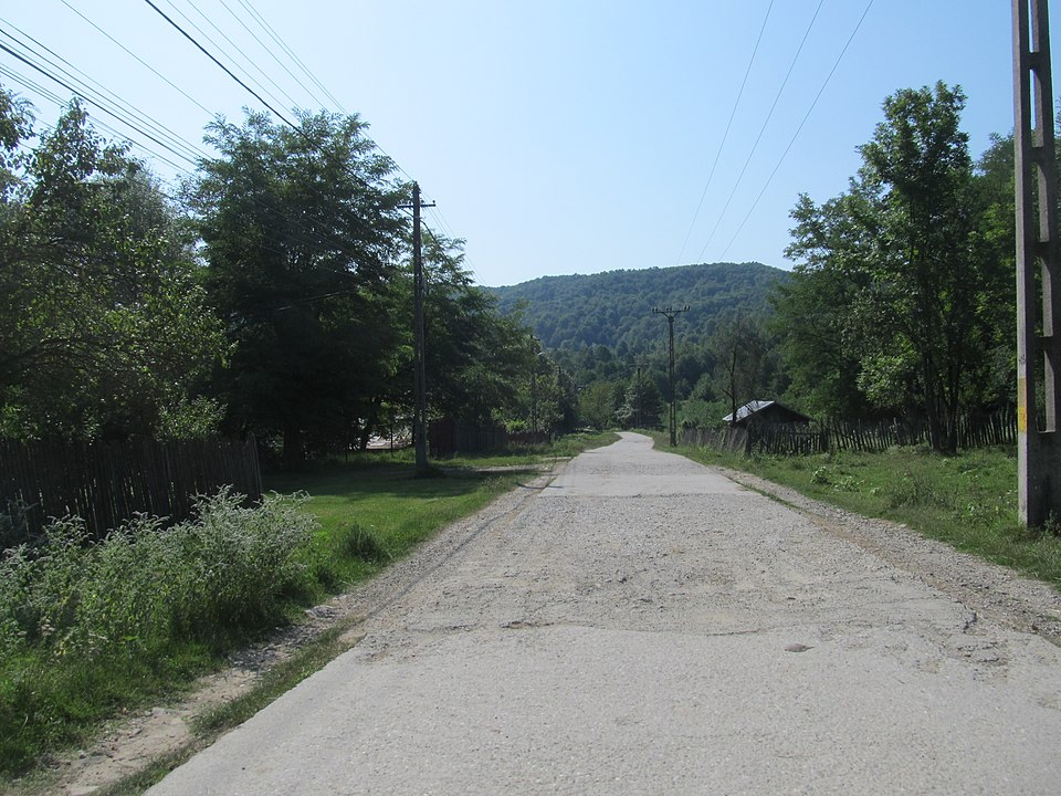 Natura din jurul Cosminele, Cosminele