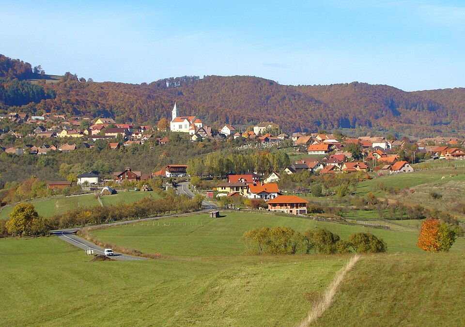 Natura din jurul Dealu, Dealu