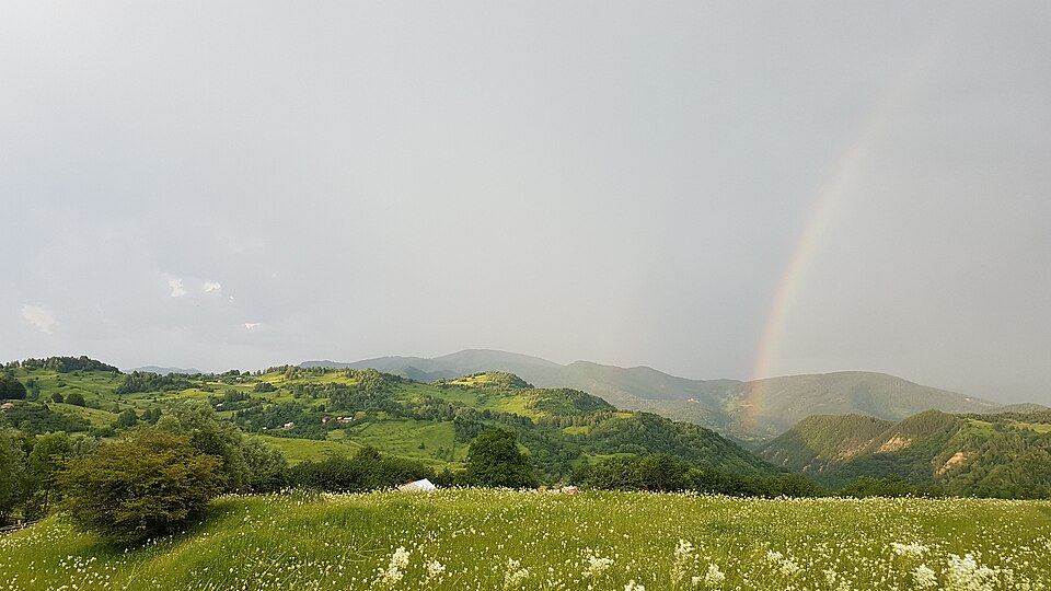 Naturaleza alrededor de Lopătari, Lopătari