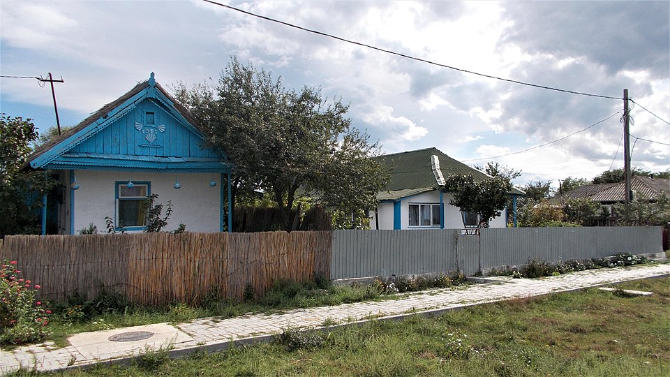 Natura din jurul Mila 23