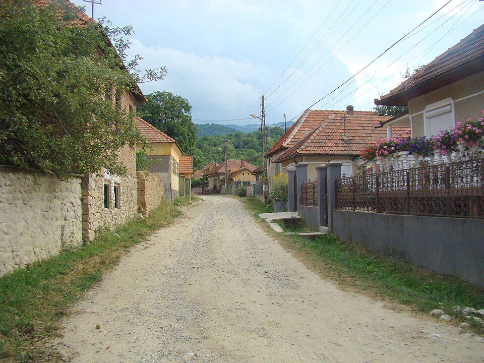 Nature autour de Valea Lupului, Valea Lupului