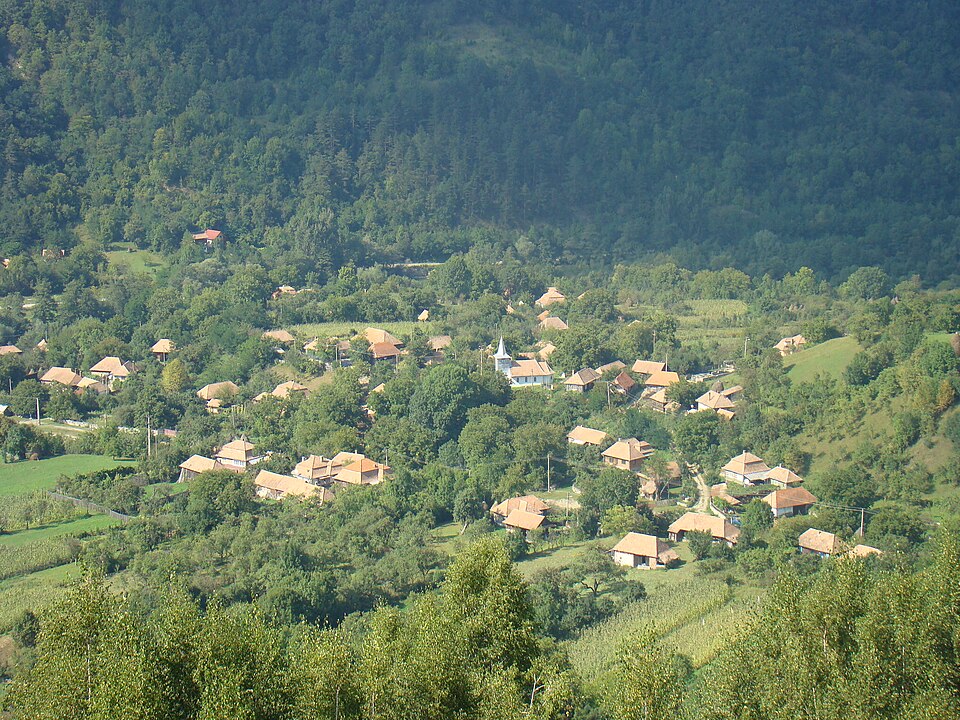 Natura din jurul Vidolm, Vidolm