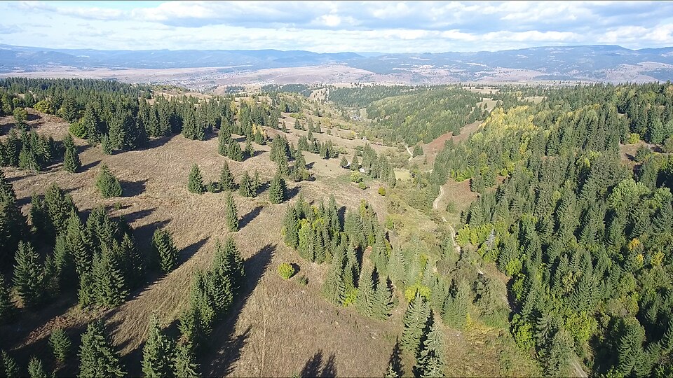 Natura din jurul Zăpodea, Zăpodea