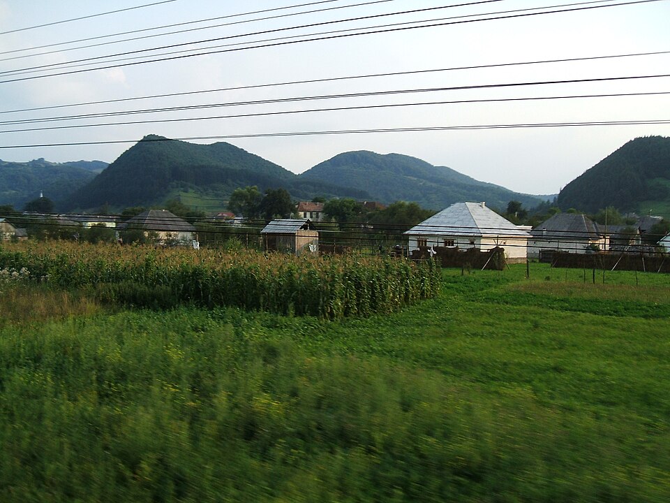 Natura din Leordina, Leordina