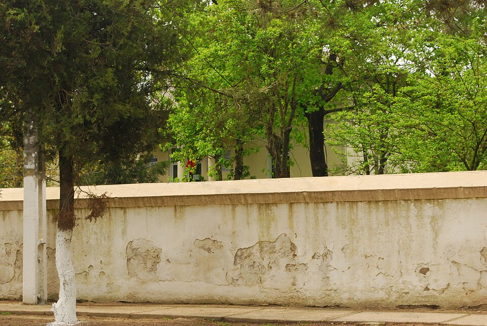 Natura din Vedea, Vedea