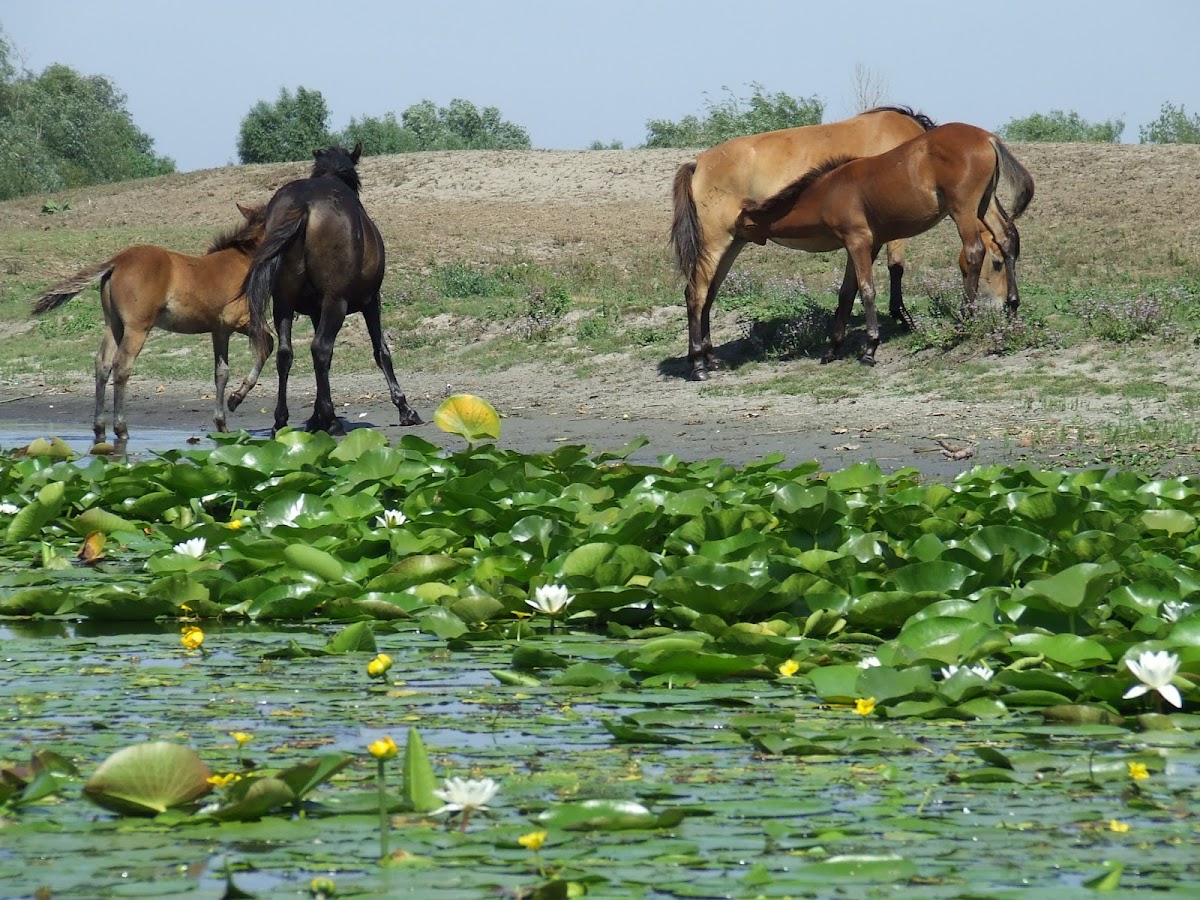Nature reserve entrance - foto 1