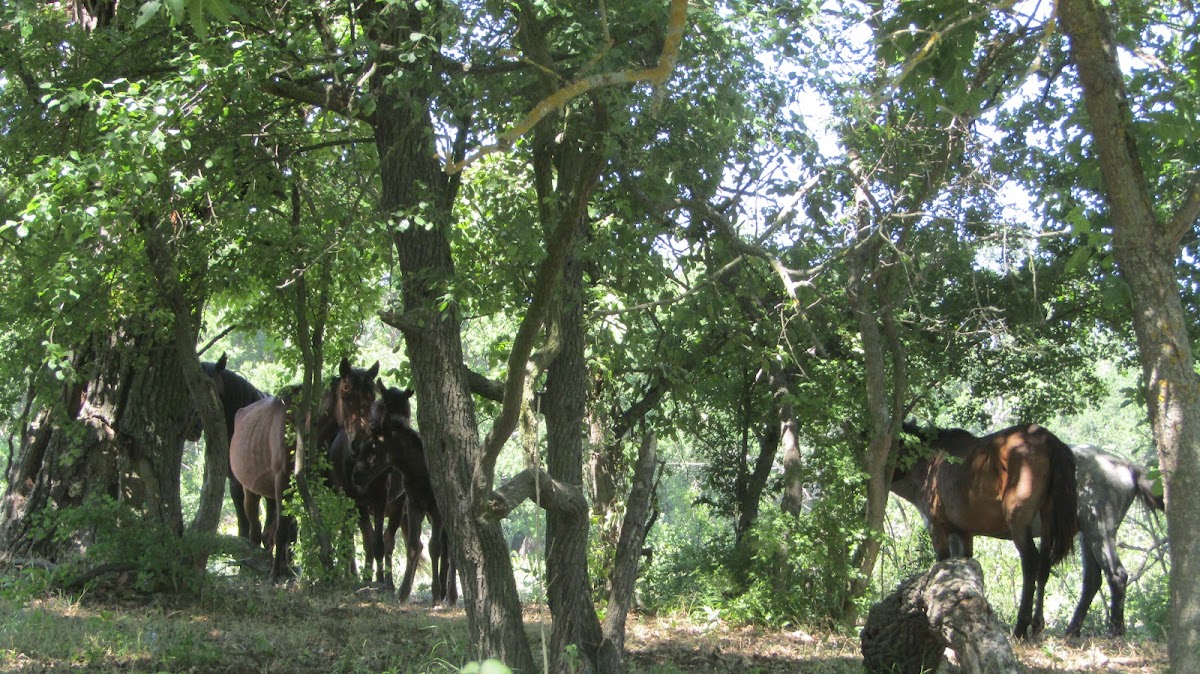 Nature reserve entrance - foto 2
