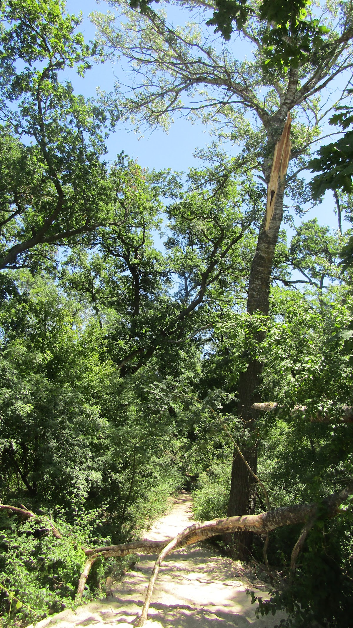 Nature reserve entrance - foto 3