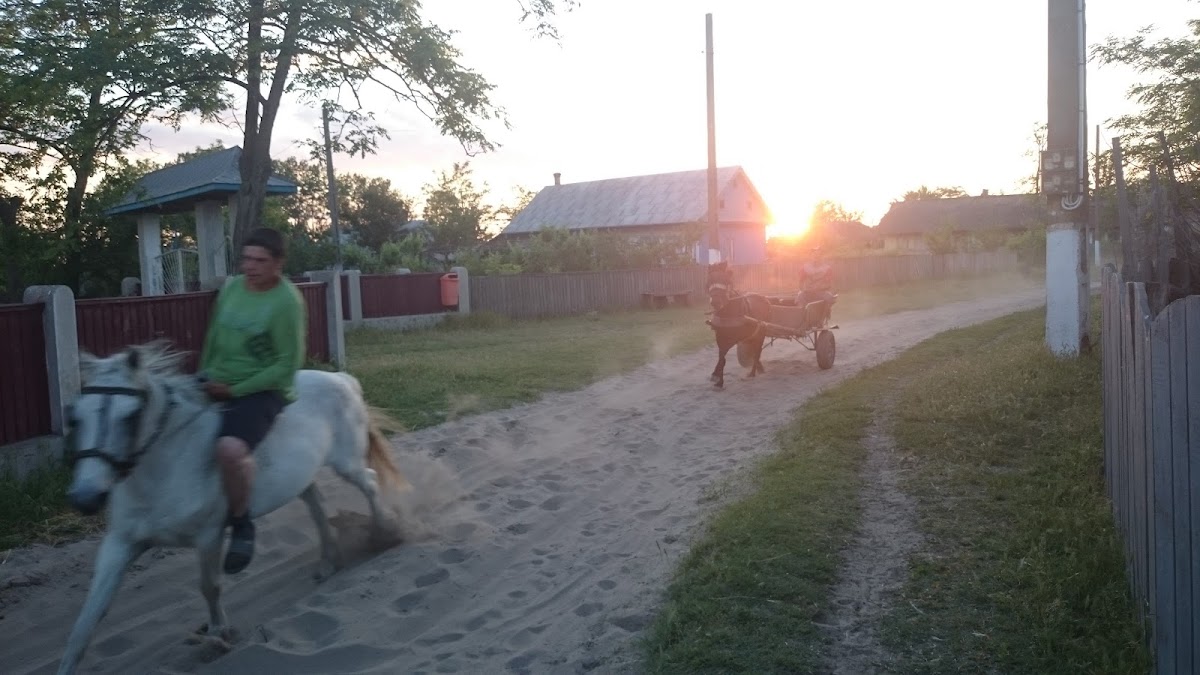 Nature reserve entrance - foto 4