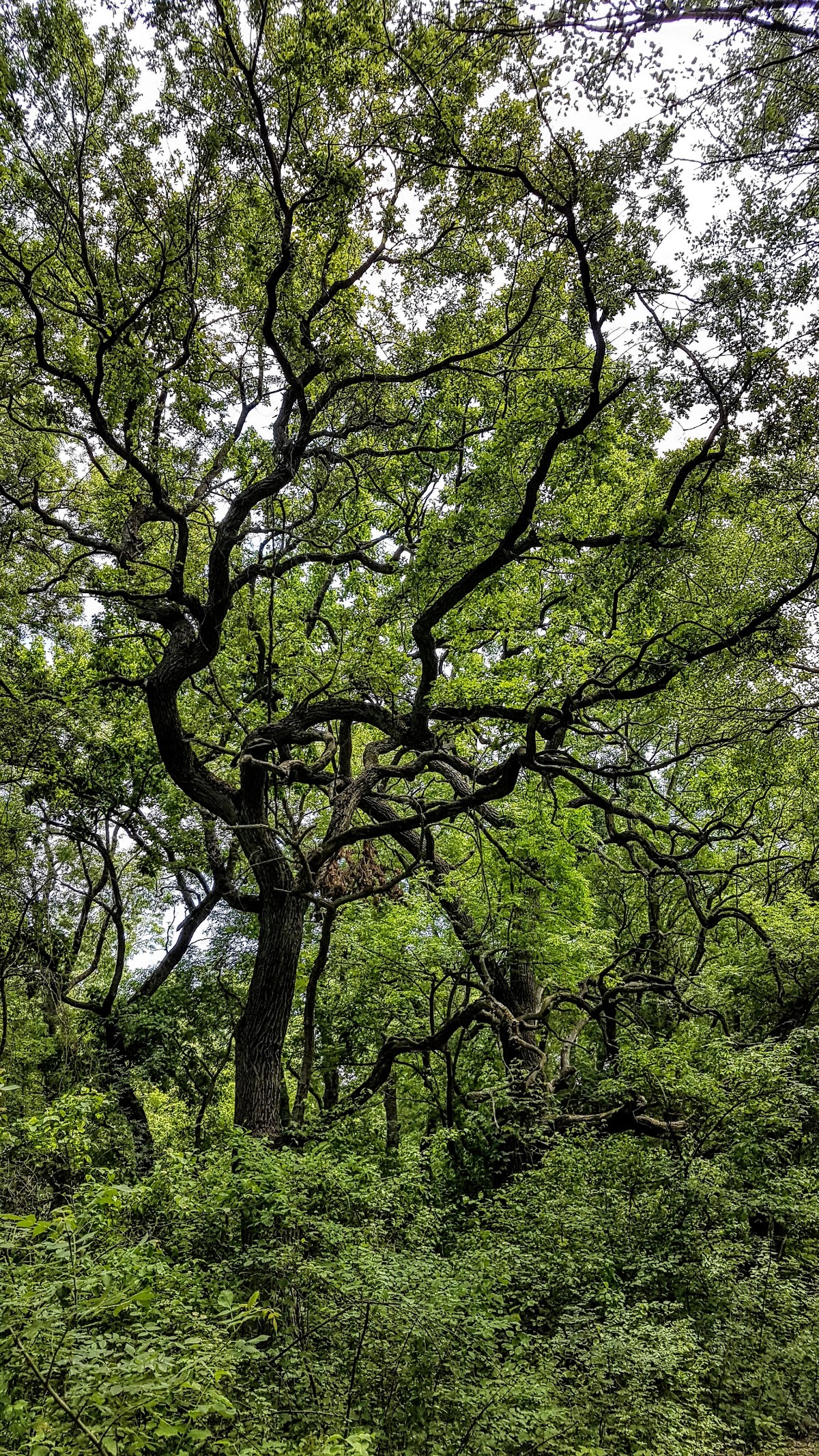 Nature reserve entrance - foto 5