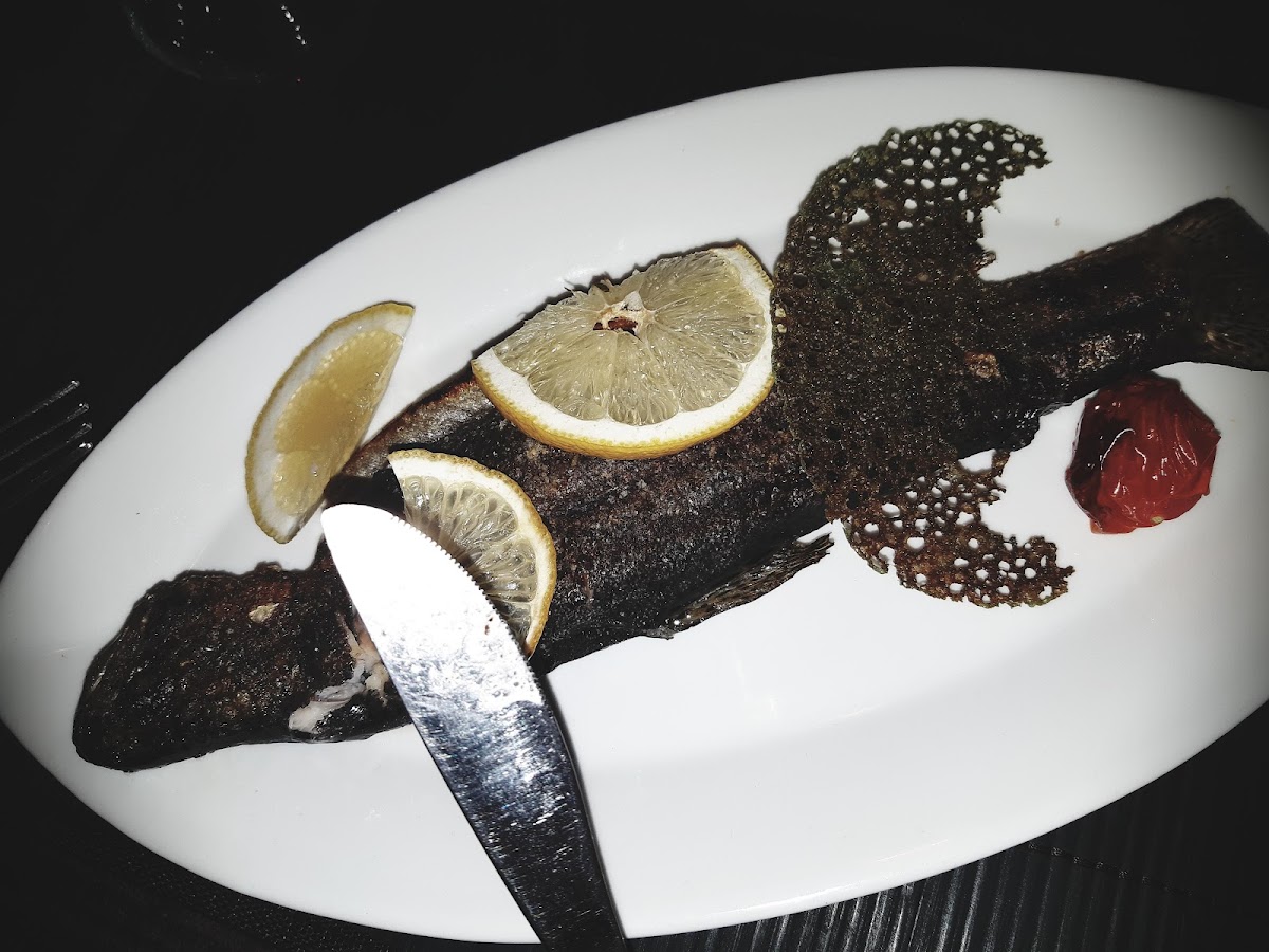 Nomma Downtown - foto 2