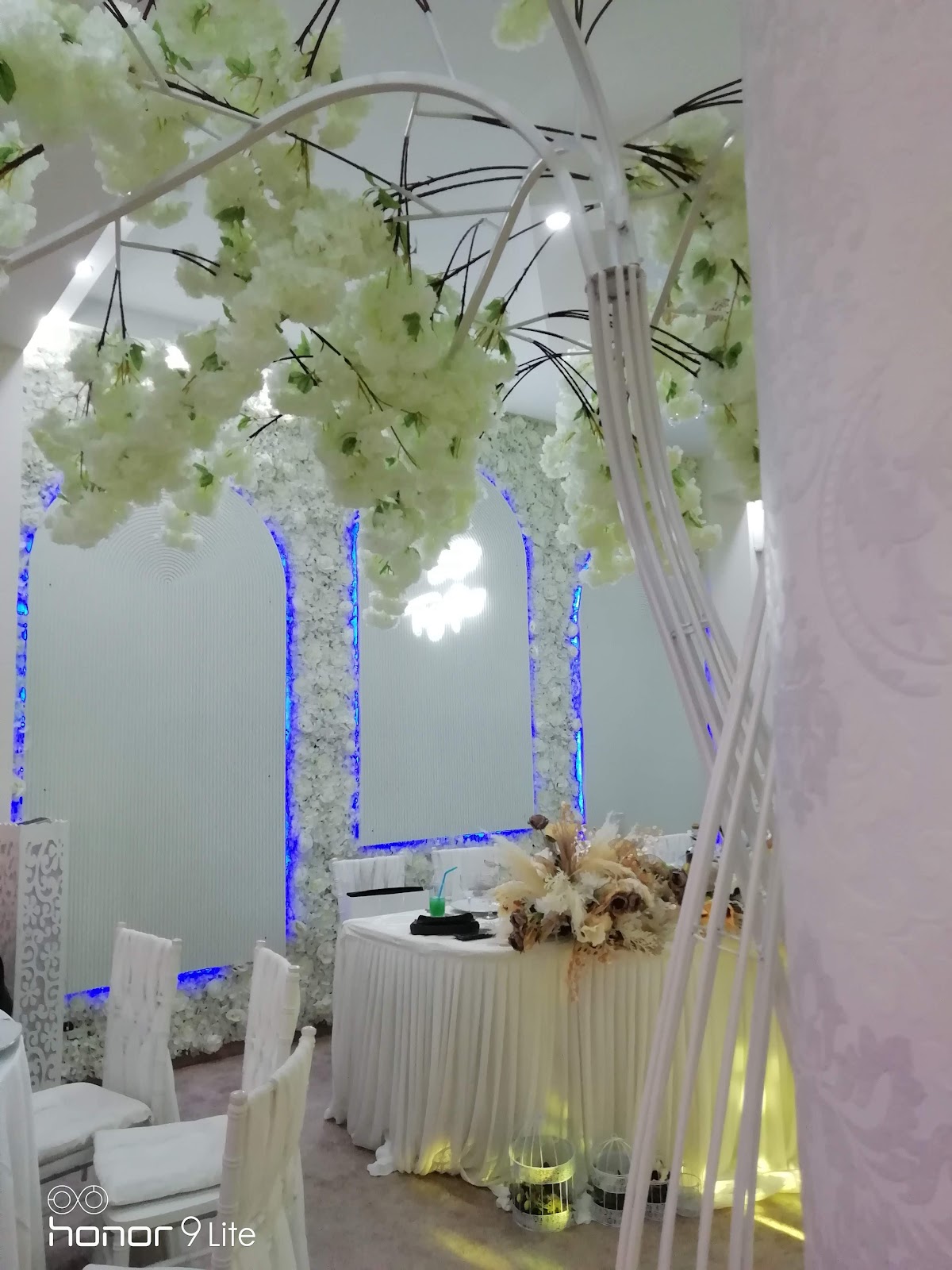 Novia Events - foto 3