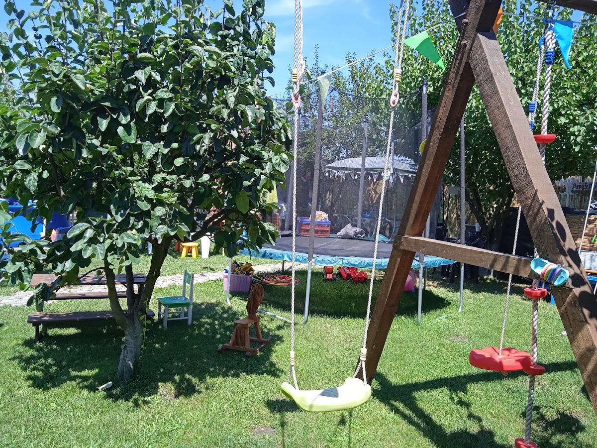 Oaza cu Voie Buna - foto 4