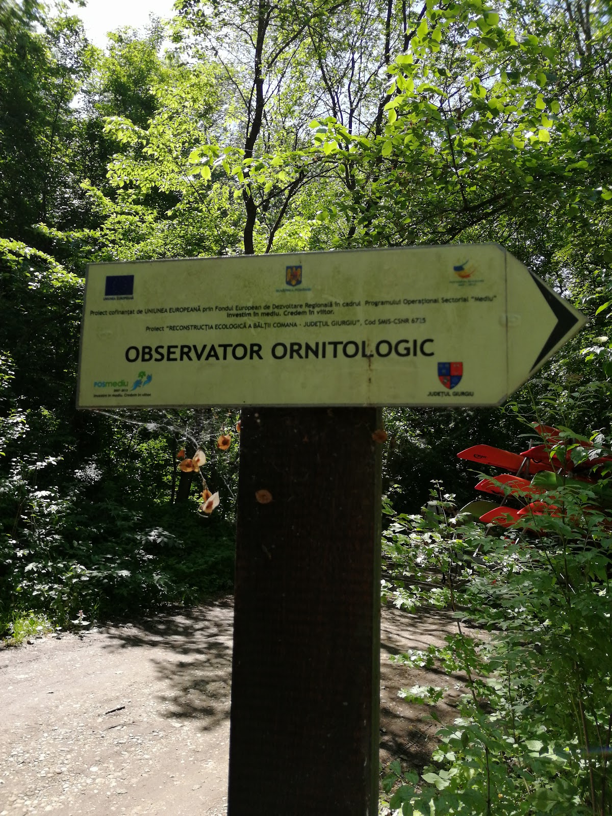 Observator Ornitologic Comana - foto 5