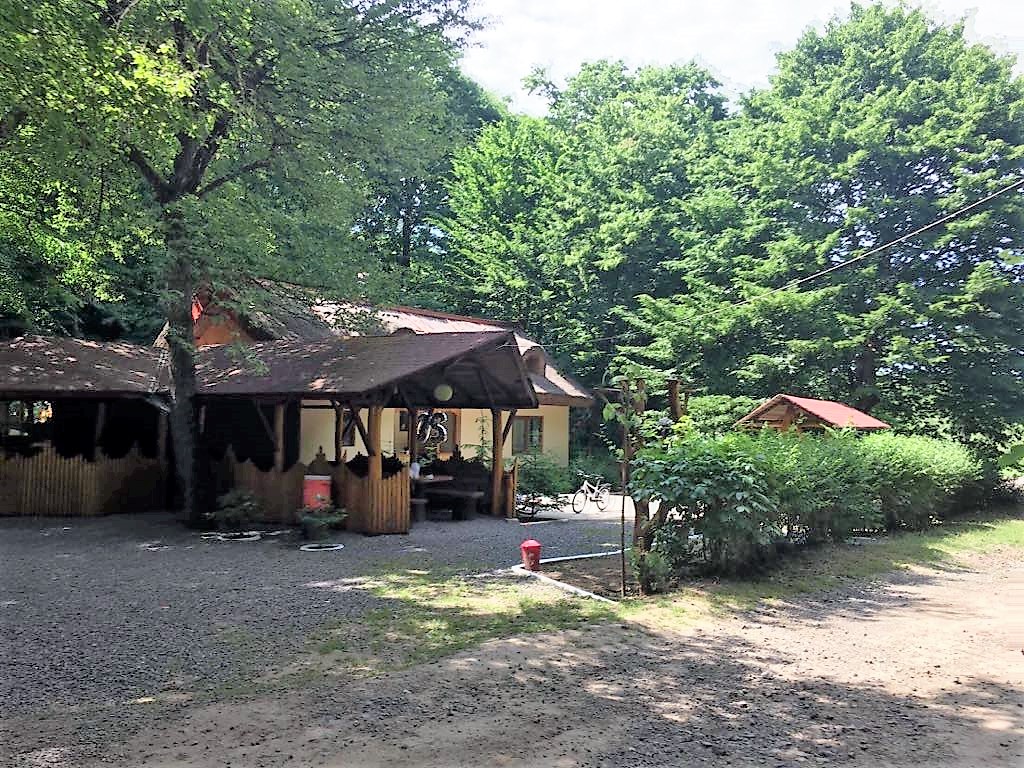 Ocolul Silvic Niculițel - foto 3