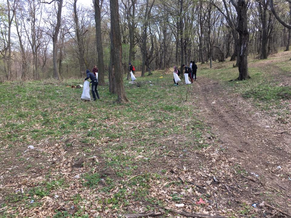 Ocolul Silvic Niculițel - foto 4