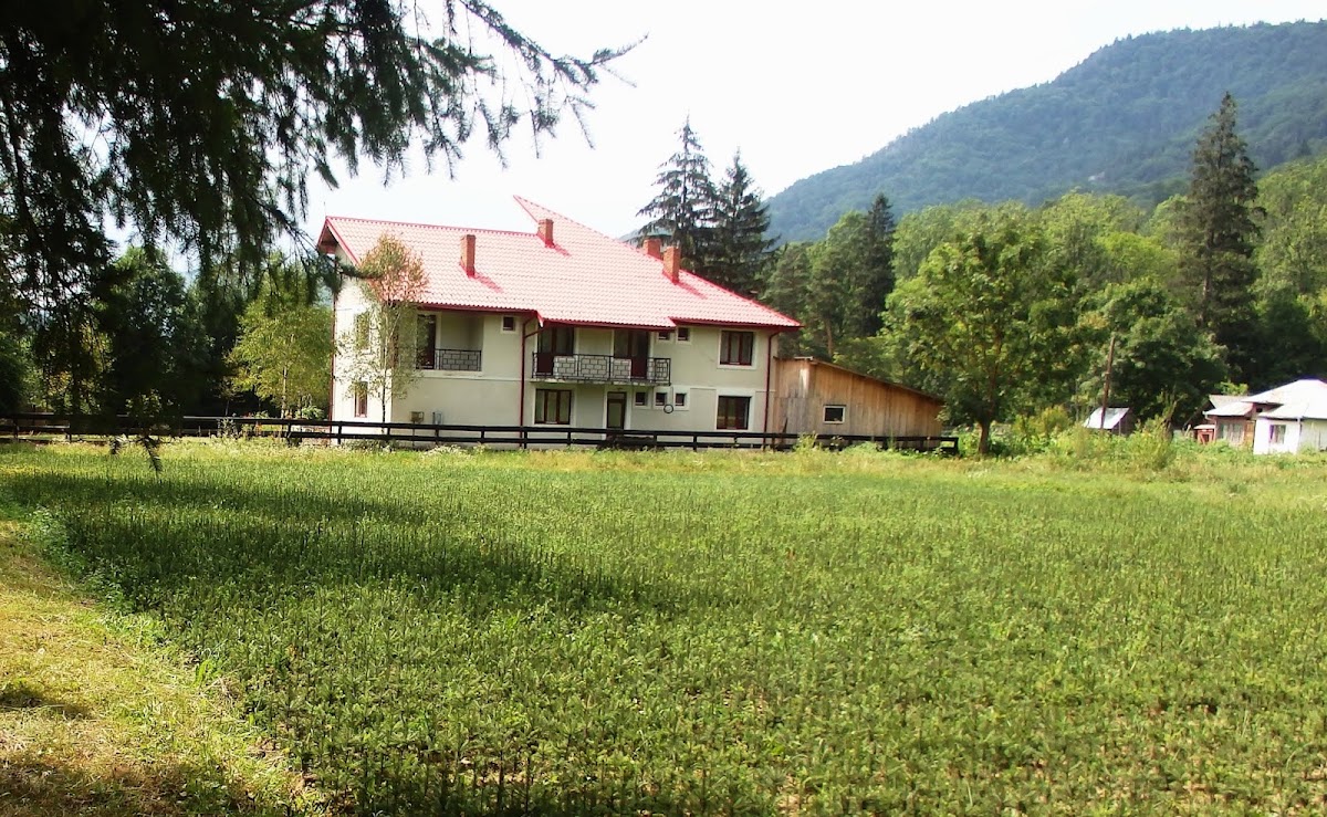 Ocolul silvic Vadul Oii