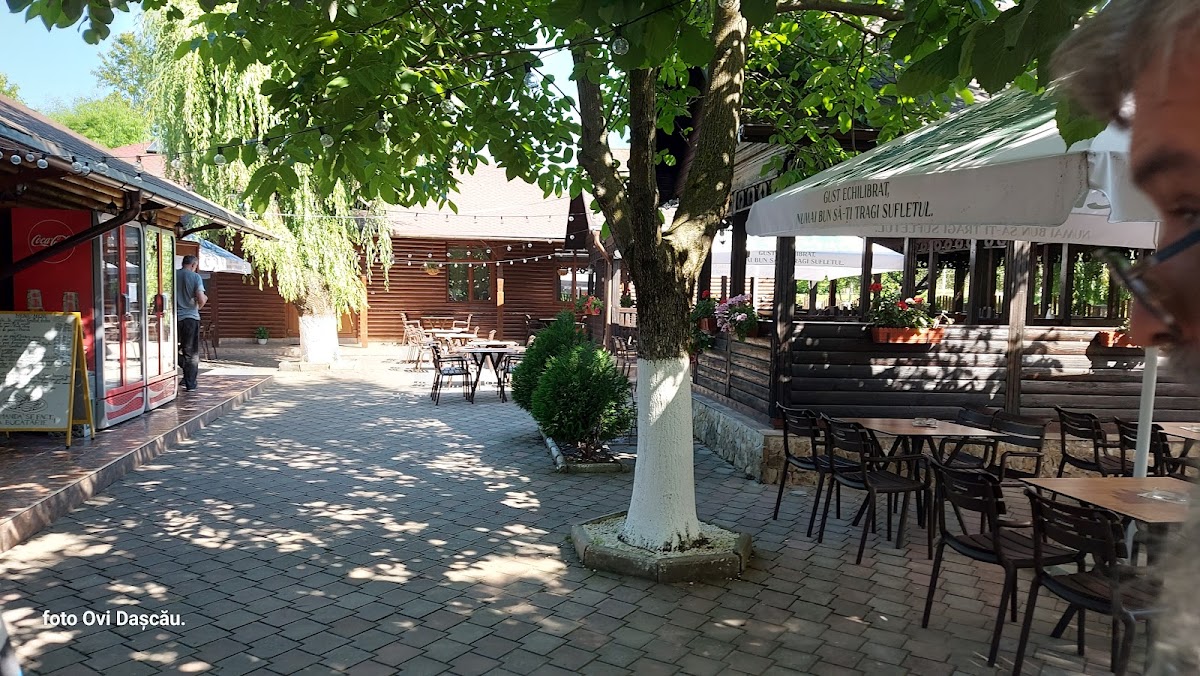 Ograda Gugulanului - foto 3