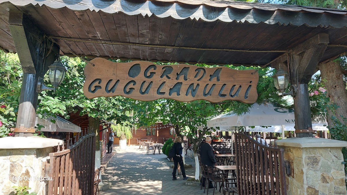 Ograda Gugulanului - foto 4